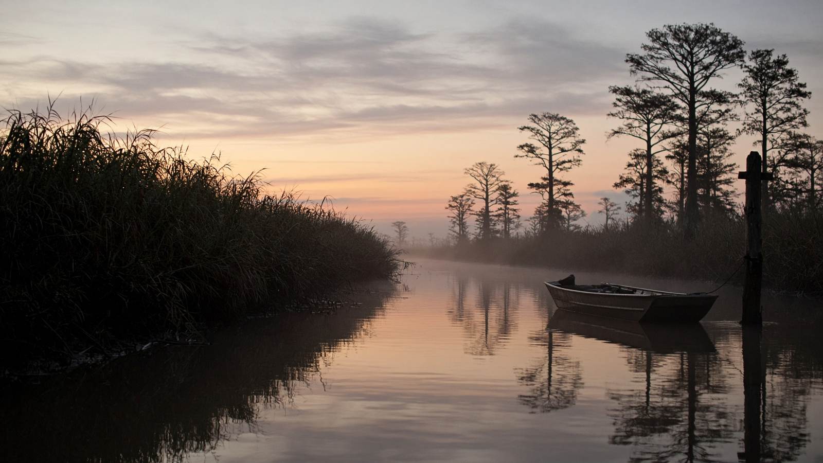 South Louisiana marsh, Venice and Lafitte